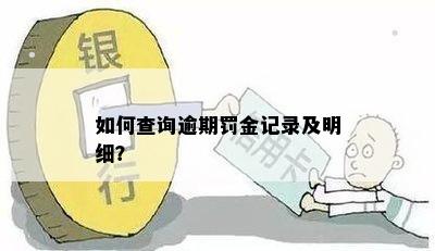 如何查询逾期罚金记录及明细？