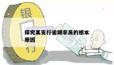 探究某支行逾期率高的根本原因