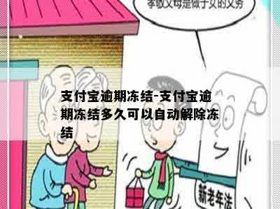 支付宝逾期冻结-支付宝逾期冻结多久可以自动解除冻结