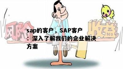 sap的客户，SAP客户：深入了解我们的企业解决方案