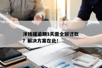 洋钱罐逾期1天需全额还款？解决方案在此！