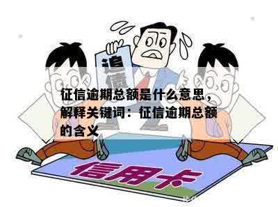 征信逾期总额是什么意思，解释关键词：征信逾期总额的含义