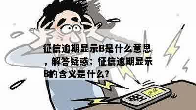 征信逾期显示B是什么意思，解答疑惑：征信逾期显示B的含义是什么？