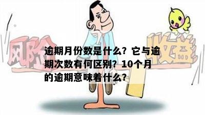 逾期月份数是什么？它与逾期次数有何区别？10个月的逾期意味着什么？