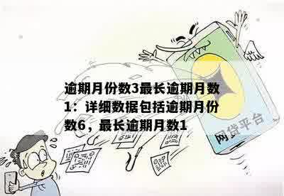 逾期月份数3最长逾期月数1：详细数据包括逾期月份数6，最长逾期月数1