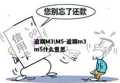 逾期M3\M5-逾期m3m5什么意思