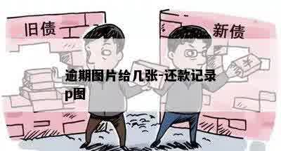 逾期图片给几张-还款记录p图