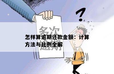 怎样算逾期还款金额：计算方法与比例全解