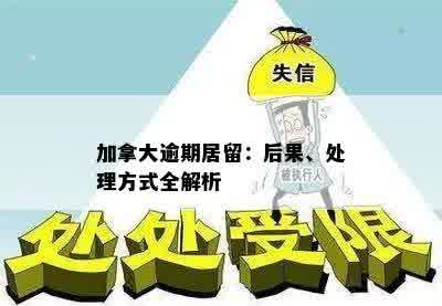 加拿大逾期居留：后果、处理方式全解析