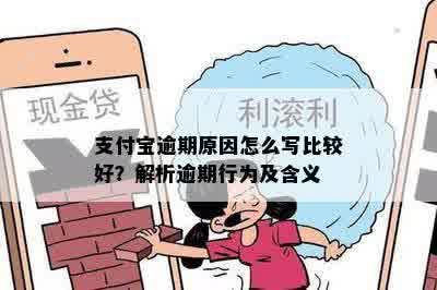 支付宝逾期原因怎么写比较好？解析逾期行为及含义