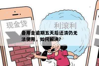 备用金逾期五天后还清仍无法使用，如何解决？