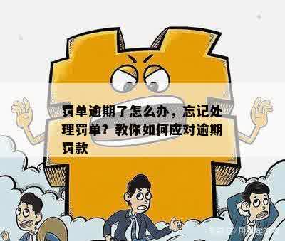 罚单逾期了怎么办，忘记处理罚单？教你如何应对逾期罚款