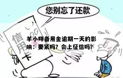 羊小咩备用金逾期一天的影响：要紧吗？会上征信吗？