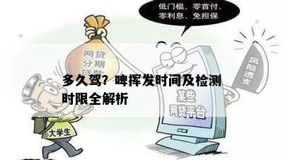 多久驾？啤挥发时间及检测时限全解析