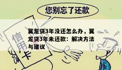 翼龙贷3年没还怎么办，翼龙贷3年未还款：解决方法与建议