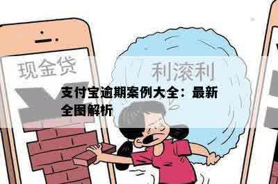 支付宝逾期案例大全：最新全图解析