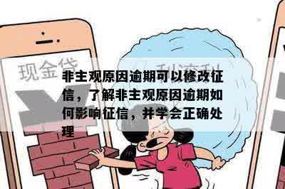 非主观原因逾期可以修改征信，了解非主观原因逾期如何影响征信，并学会正确处理