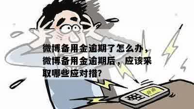 微博备用金逾期了怎么办，微博备用金逾期后，应该采取哪些应对措？