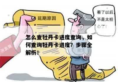 怎么查牡丹卡进度查询，如何查询牡丹卡进度？步骤全解析！