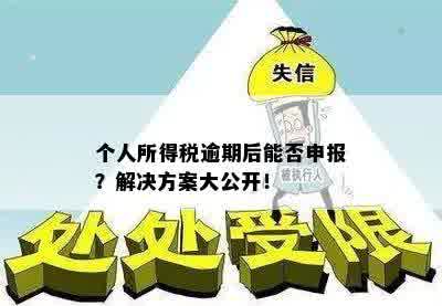 个人所得税逾期后能否申报？解决方案大公开！