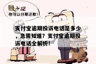 支付宝逾期投诉电话是多少，急需知道？支付宝逾期投诉电话全解析！