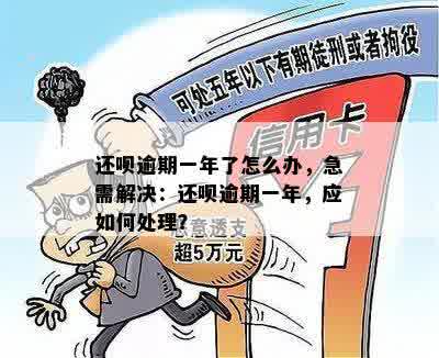 还呗逾期一年了怎么办，急需解决：还呗逾期一年，应如何处理？