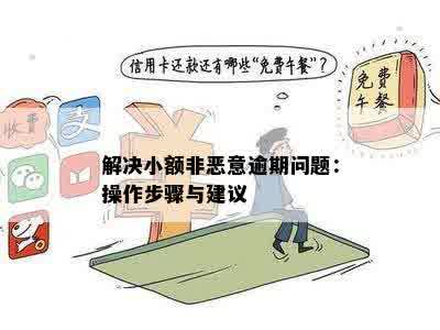 解决小额非恶意逾期问题：操作步骤与建议