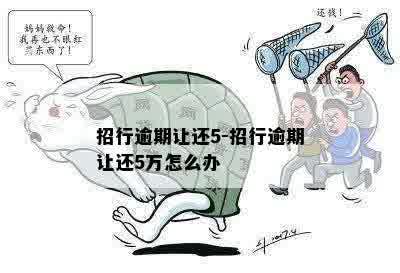 招行逾期让还5-招行逾期让还5万怎么办