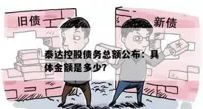 泰达控股债务总额公布：具体金额是多少？