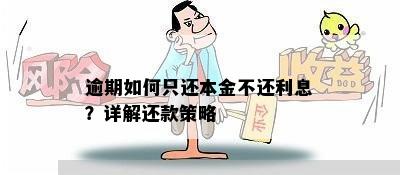 逾期如何只还本金不还利息？详解还款策略