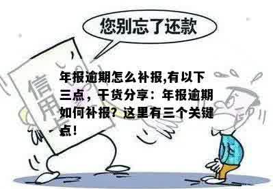 年报逾期怎么补报,有以下三点，干货分享：年报逾期如何补报？这里有三个关键点！