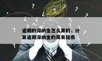 逾期的滞纳金怎么算的，计算逾期滞纳金的简易指南