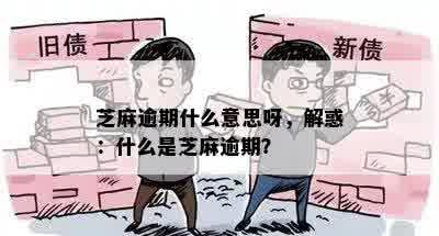 芝麻逾期什么意思呀，解惑：什么是芝麻逾期？