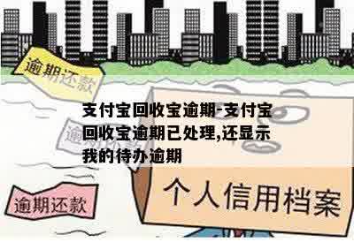 支付宝回收宝逾期-支付宝回收宝逾期已处理,还显示我的待办逾期