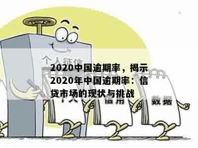 2020中国逾期率，揭示2020年中国逾期率：信贷市场的现状与挑战