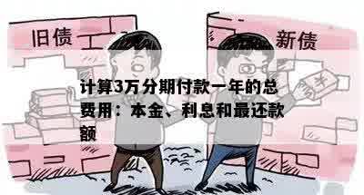 计算3万分期付款一年的总费用：本金、利息和最还款额