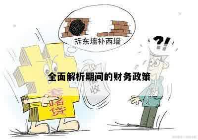 全面解析期间的财务政策