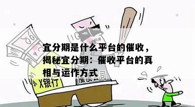 宜分期是什么平台的催收，揭秘宜分期：催收平台的真相与运作方式