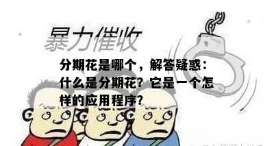 分期花是哪个，解答疑惑：什么是分期花？它是一个怎样的应用程序？