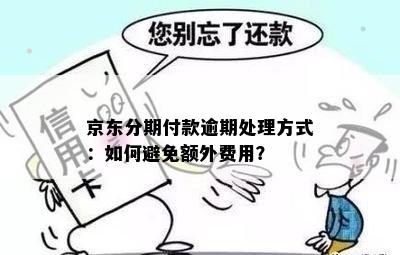 京东分期付款逾期处理方式：如何避免额外费用？