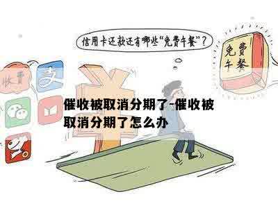 催收被取消分期了-催收被取消分期了怎么办