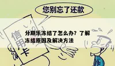 分期乐冻结了怎么办？了解冻结原因及解决方法