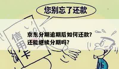 京东分期逾期后如何还款？还能继续分期吗？