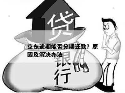 京东逾期能否分期还款？原因及解决办法