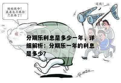 分期乐利息是多少一年，详细解析：分期乐一年的利息是多少？