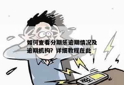 如何查看分期乐逾期情况及逾期机构？详细教程在此