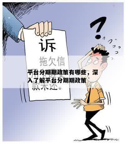 平台分期期政策有哪些，深入了解平台分期期政策