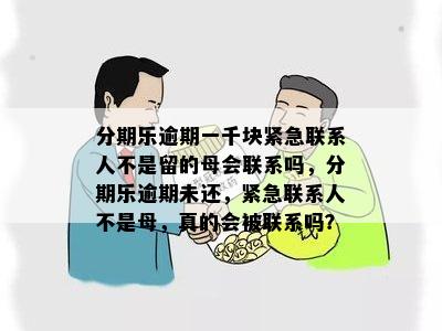 分期乐逾期一千块紧急联系人不是留的母会联系吗，分期乐逾期未还，紧急联系人不是母，真的会被联系吗？