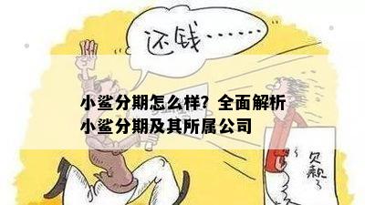 小鲨分期怎么样？全面解析小鲨分期及其所属公司