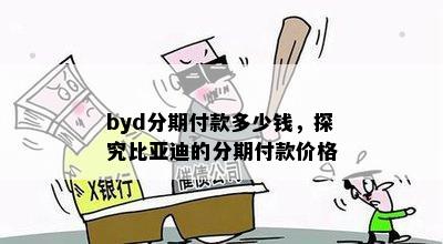 byd分期付款多少钱，探究比亚迪的分期付款价格